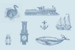 videos pictures in the dictionary