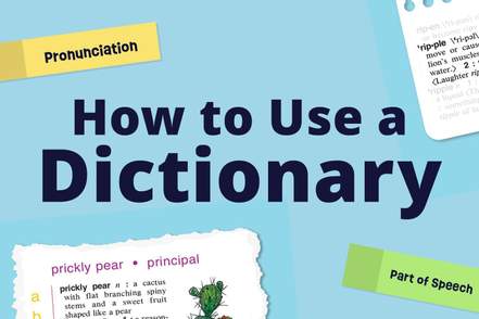 How to Use a Dictionary (Video) | Merriam-Webster