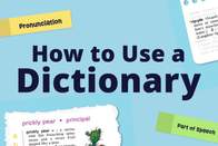 how to use a dictionary