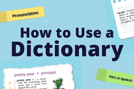 how to use a dictionary