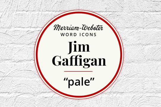 merriam-webster word icons jim gaffigan pale