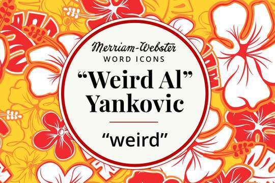 merriam-webster word icons werid al yankovic weird