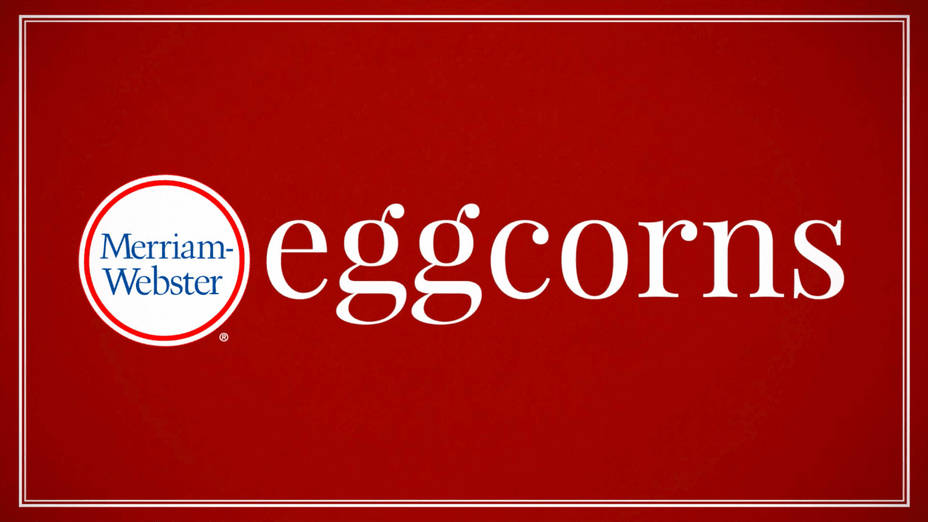 Eggcorn Definition & Meaning - Merriam-Webster