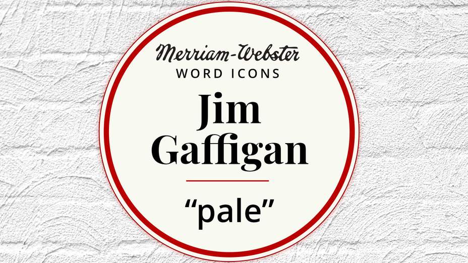 merriam-webster word icons jim gaffigan pale