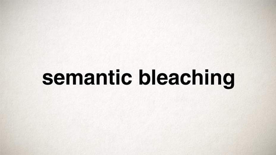 Definition & Meaning of Bleach