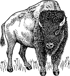 Atlantic de Modstand Buffalo Definition & Meaning - Merriam-Webster