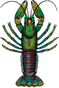 pictures of crayfish