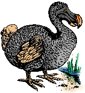 faire dodo meaning in french