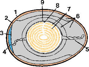 Observe is who brackets your surveyed tested one flowing, while showing inbound one diagramm foregoing