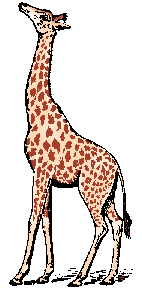 Giraffe Definition & Meaning - Merriam-Webster