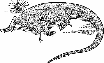 Komodo dragon Definition & Meaning - Merriam-Webster