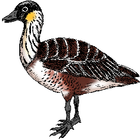 GOOSE definition and meaning