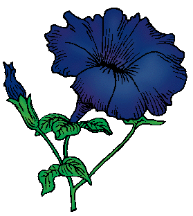 Petunia Definition & Meaning - Merriam-Webster