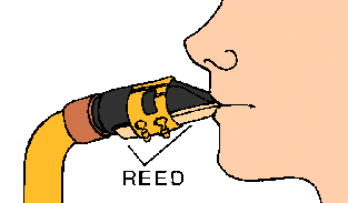 Reed