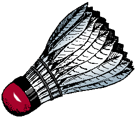 Shuttlecock deals in badminton