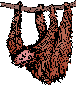 Sloth Definition & Meaning - Merriam-Webster