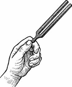 Tuning Fork Definition Meaning Merriam Webster