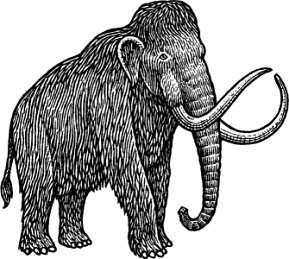 Illustration of woolly mammoth