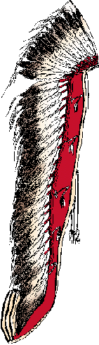 Illustration of warbonnet