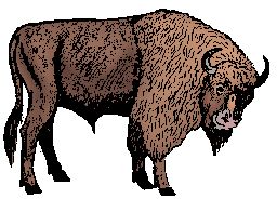 Wisent Definition & Meaning - Merriam-webster