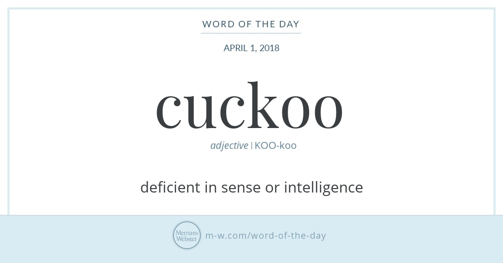 Word of the Day Cuckoo MerriamWebster