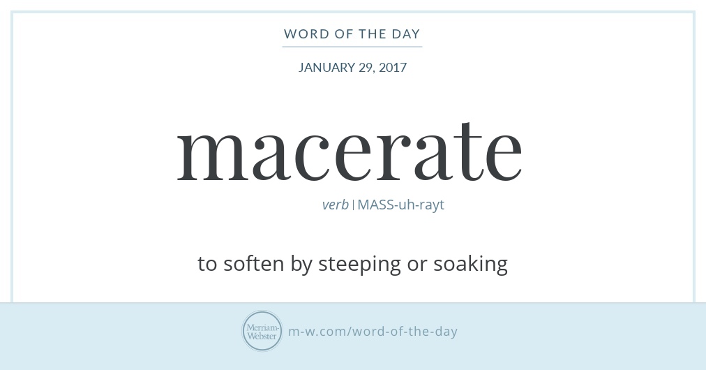 Word of the Day Macerate Merriamster