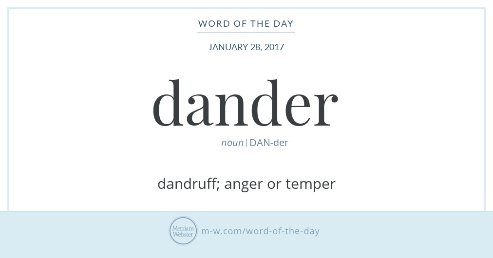 Word Of The Day Dander Merriam Webster