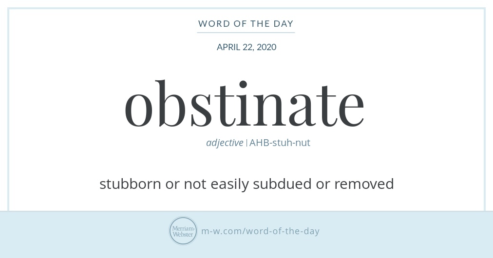 Word of the Day: Obstinate