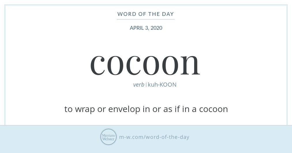 Word of the Day Cocoon Merriam Webster