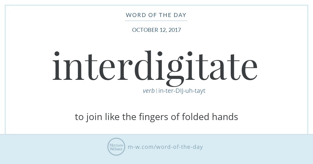 Intermediate+ Word of the Day: twig – WordReference Word of the Day