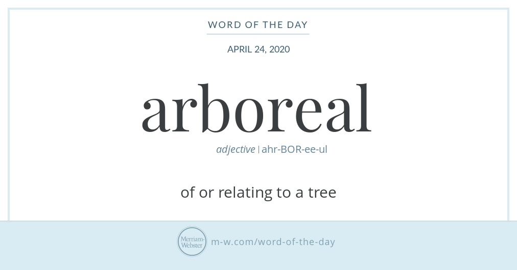Word of the Day Arboreal MerriamWebster