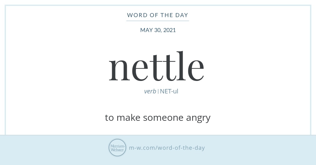 Word Of The Day Nettle Merriam Webster