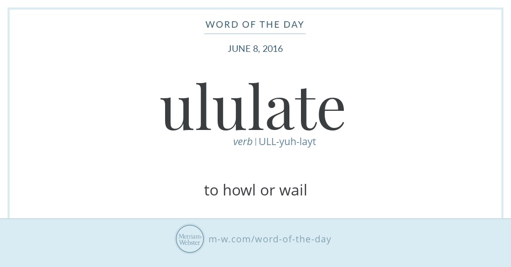 Word of the Day Ululate Merriamster