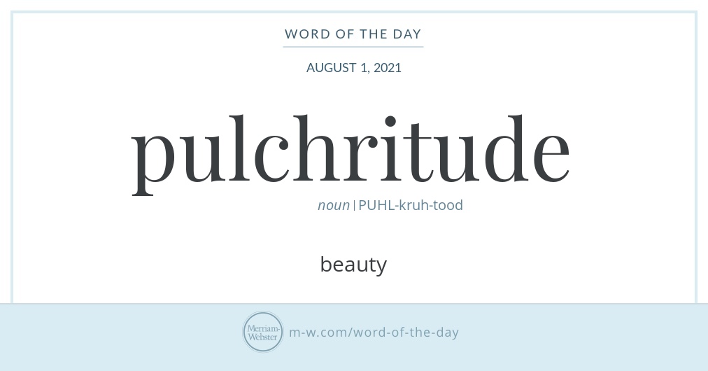 word-of-the-day-pulchritude-merriam-webster