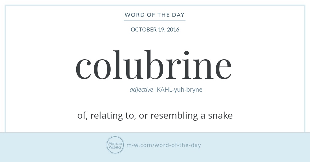 conspire meaning conspire meaning
