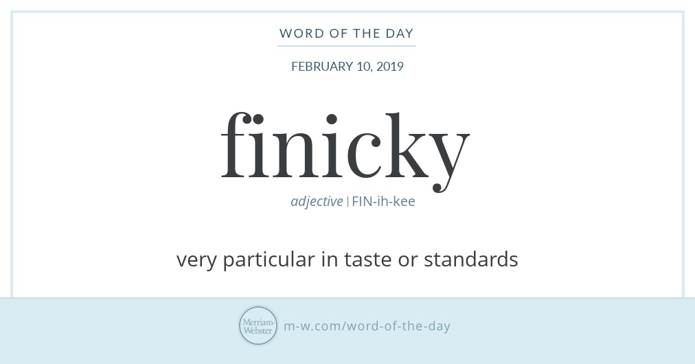 finicky definition