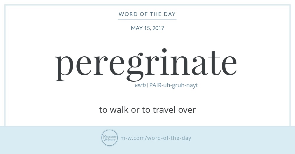 peregrination dictionary words