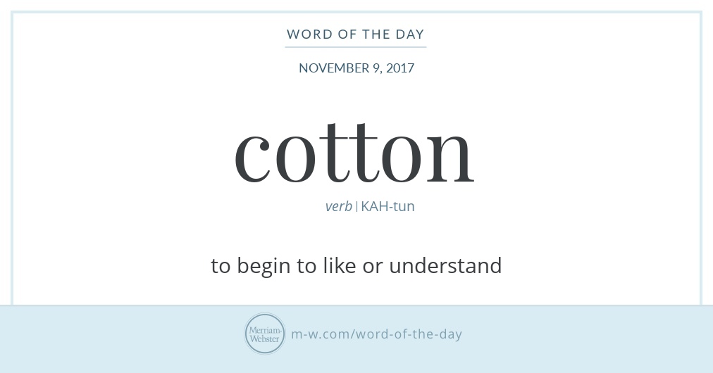 Word of the Day Cotton Merriamster